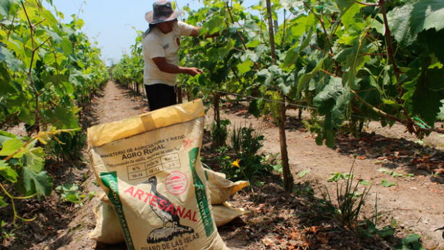 Guano de las islas será para la agricultura familiar en comunidades de San Juan en Sihuas. Foto: Agro Rural.