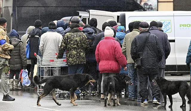 Personas hacen cola para recibir ayuda en la ciudad de Bucha, al noroeste de Kiev (capital de Ucrania). Foto: AFP