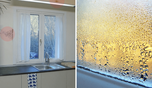 Cómo evitar la condensación en las ventanas? Los mejores consejos