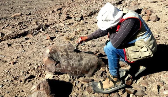 Descubrimientos fueron presentados en Tacna tras intensa labor de arqueólogos. Foto: Gobierno Regional de Tacna