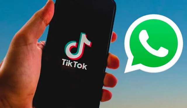 Podrás ver videos de TikTok en una pequeña ventana, mientras revisas WhatsApp, Facebook u otra app. Foto: TuExpertoApps