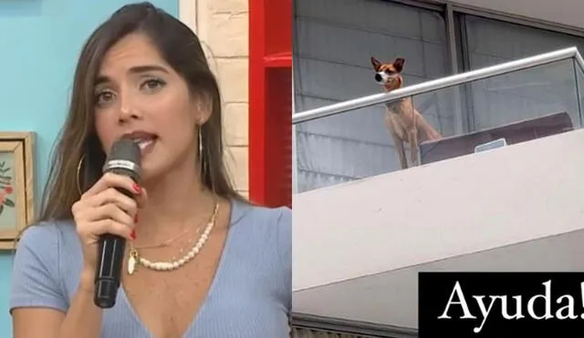 Korina Rivadeneira molesta con dueña de perro con hocico amarrado. Foto: composición/captura-Instagram/Korina Rivadeneira