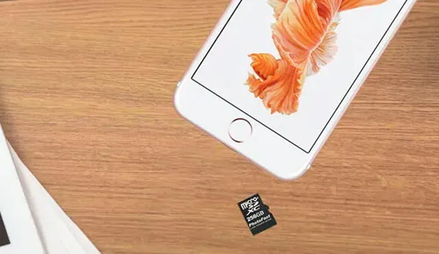 Ningún modelo de iPhone admite las tarjetas microSD. Foto: Computer Hoy