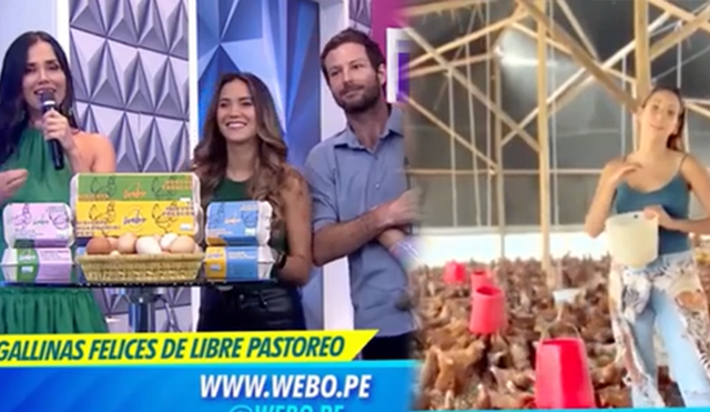 María Grazia Gamarra fundó Webo, emprendimiento de granja de gallinas que ofrece huevos de calidad. Foto: composición/captura Améruca TV
