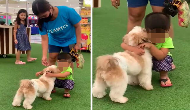 Una mujer se percató de la presencia de un can que repartía abrazos; por ello, se le acercó junto a su pequeño para conocer su reacción. Foto: captura de Facebook