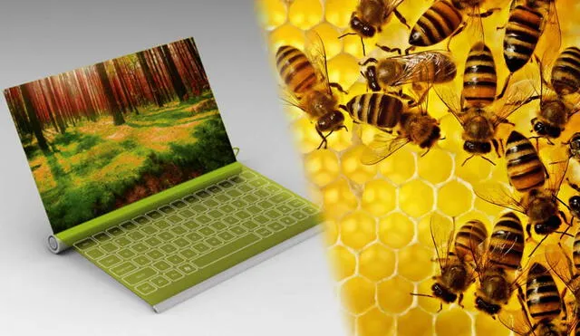 Las CPU del futuro durarían más y serían completamente biodegradables. La clave para esto es la miel que fabrican las abejas. Foto: Instituto León/Development and Design Today
