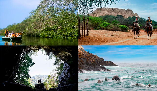 Conoce 6 destinos que te fascinarán con sus increíbles paisajes y biodiversidad. Foto: composición PromPerú/Y TÚ Qué Planes