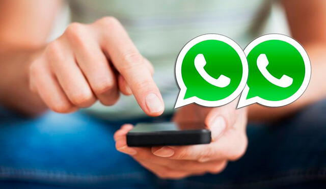 Este truco de WhatsApp funciona en Android y iPhone. Foto: TyNmagazine