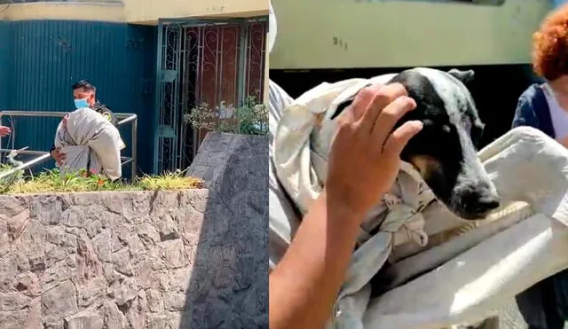 PNP ingresó a la vivienda y rescató a Mía. Denuncia se hizo viral en redes sociales. Foto: composición La República / Fotos: Esperanza Callejera