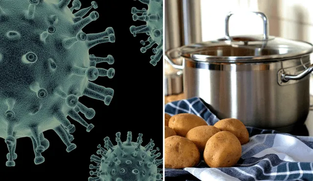 Existe un utensilio en la cocina que puede convertirse en un foco central de bacterias. Foto: composición/Pixabay