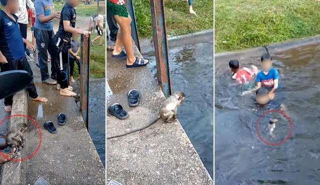 La viral escena compartida en diferentes redes sociales logró obtener miles de reproducciones en poco tiempo. Foto: captura de Facebook