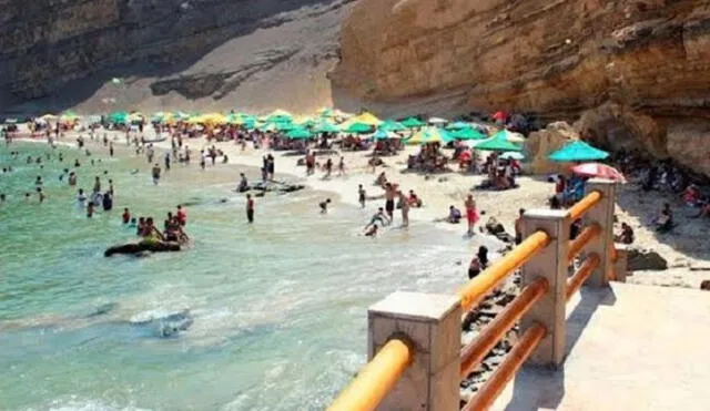 Paracas recibiría a 30.000 turistas. Foto: Andina