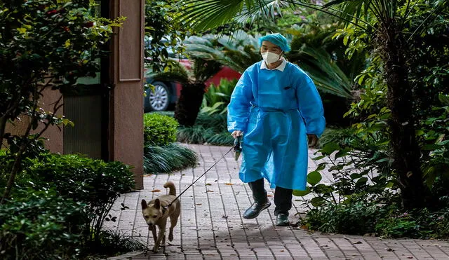Un miembro de seguridad pasea a un perro encerrado en una comunidad residencial bajo cuarentena en Shanghái, China. Foto: EFE