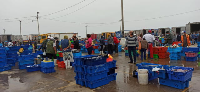 En Semana Santa, la gente reemplaza la carne por pescado y hace que este suba su precio. Foto: Y. Goicochea/La República