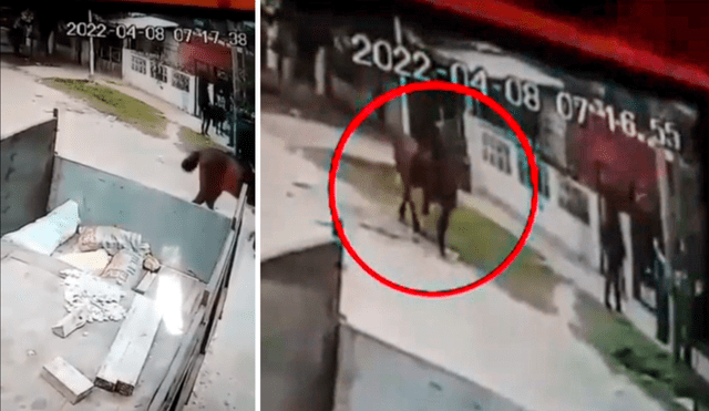 Cámara de seguridad capta a ladrones a caballo despojando de sus pertenencias a unos estudiantes. Foto: captura video/TN