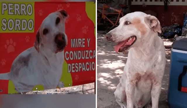 Cerca del edificio de la comisaría se aprecia un cartel con la imagen del perro que pide precaución al momento de circular por la zona. Foto: captura de Facebook