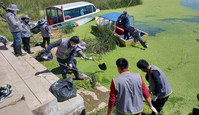Voluntarios recogieron basura de las orillas del lago. Foto: Municipio de Puno