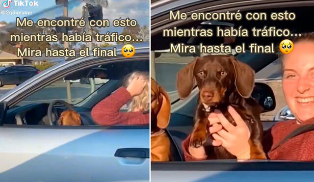 Miles de usuarios quedaron cautivados con este video viral. Foto: captura de TikTok