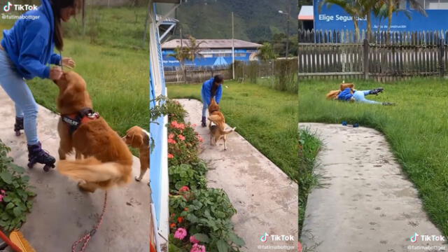 La joven recibió el cariño de sus mascotas al caer al césped. Foto: captura de TikTok