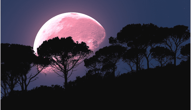 Te compartimos algunas predicciones durante la luna llena rosa 2022 para los signos del zodiaco. Foto: captura/ Pixabay