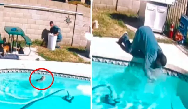 Un hombre no midió su fuerza y perdió el equilibrio cuando quiso sacar a su mascota de la piscina. Foto: captura de Facebook
