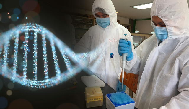 La genética ha tenido un considerable desarrollo en los últimos años. Foto: composición / AFP / INAH