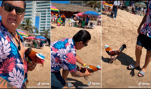 Los veraneantes quedaron sorprendidos al ver al gallo con su traje playero. Foto: captura de TikTok