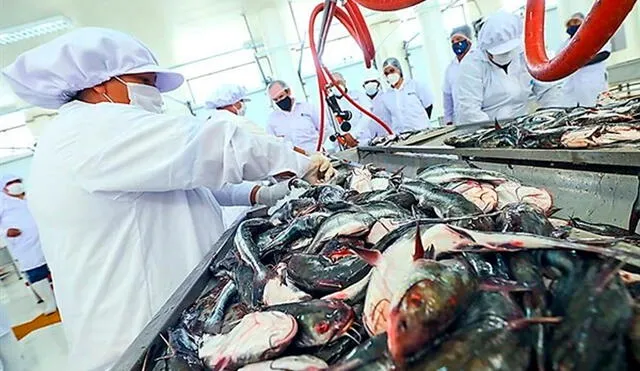 La mayor oferta de pescado fue el del bonito (+75%). Foto: Produce