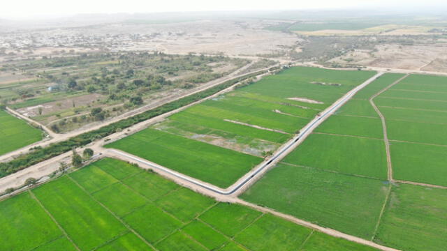 Canal Quiroz en el valle de San Lorenzo beneficiará a 40.000 familias. Foto: PSI.