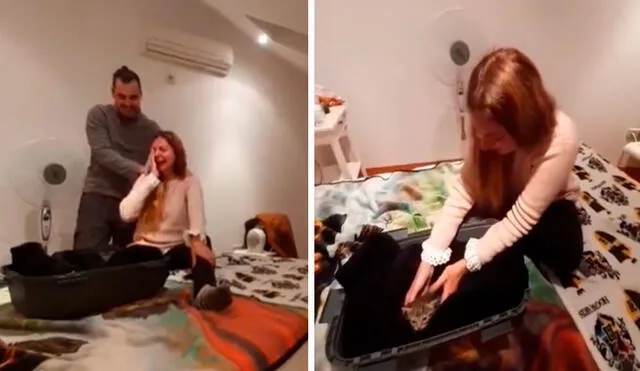 Por varios años, una mujer trató de convencer a su novio para que tuvieran a unos gatitos en casa. Foto: captura de YouTube