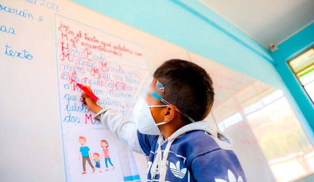 Ministerio de Educación dictó nuevas medidas ante el descenso de casos y muertes por COVID-19. Foto: Andina
