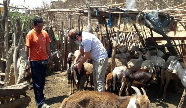 Especialistas capacitan a productores pecuarios en crianza de ganado. Foto: La República.
