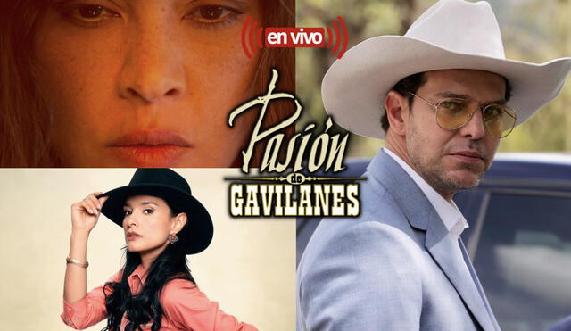 "Pasiónde gavilanes 2" estaría por dejar a los fans sin una de las parejas protagonistas más queridas de la telenovela. Foto: composición LR/Telemundo