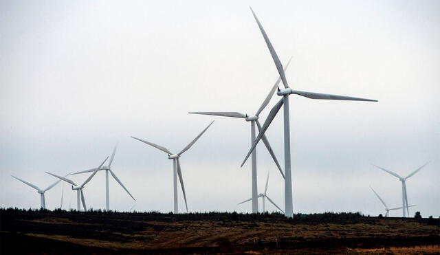 La energía eólica es un tipo de energía renovable que puede reemplazar a los combustibles fósiles. Foto: AFP