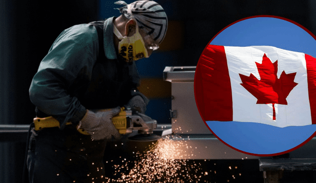 Canadá cuenta con varios rubros y ciudades que cuentan con una gran cantidad de oportunidades laborales. Foto: composición AFP