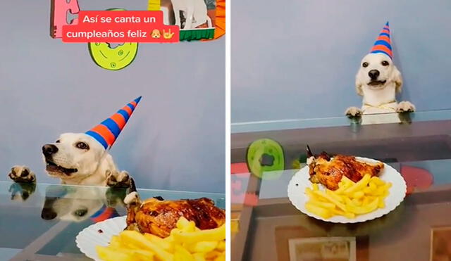 Pese a que trató de escuchar la canción que le dedicaron sus dueños, el cumpleañero solo quería devorar su plato favorito. Foto: captura de Facebook