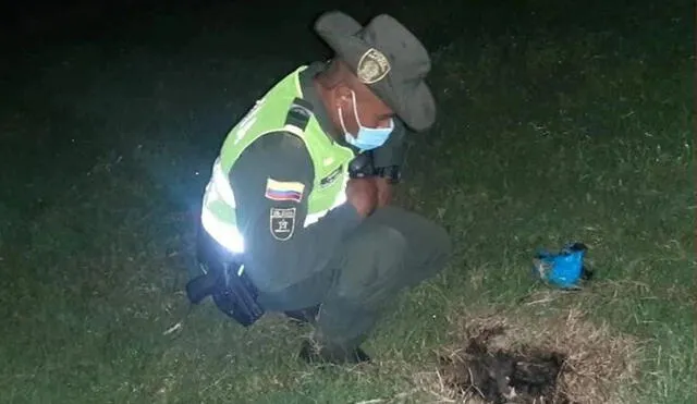 Agentes de la Policía Ambiental abriendo el costal donde fueron asesinados los cachorritos. Foto: Instagram/asociacionamoranimal