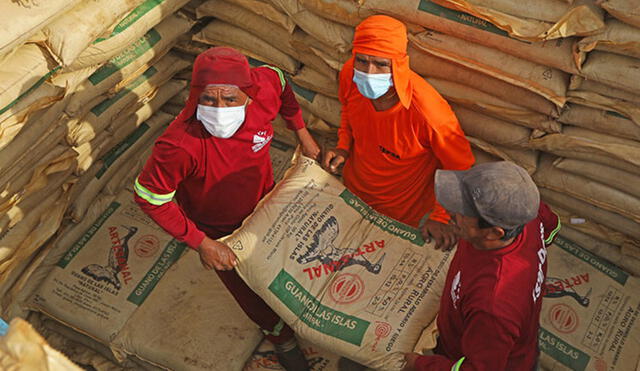 Sacos serán comercializados entre agricultores. Foto: Agro rural