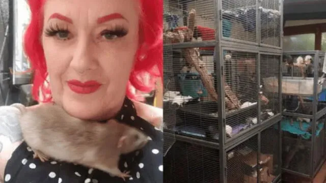 La mujer diseñó un pequeño hábitat para las ratas en su casa. Foto: Facebook/Michelle Raybon