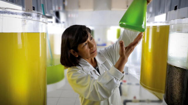 El seminario está dirigido a las comunidades científica, académica y empresarial. Foto: Produce