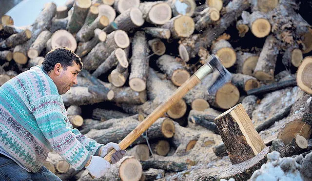 A falta de gas. Un hombre corta leña en las afueras de Sofía, capital de Bulgaria. El país aún tiene reservas hasta julio. Foto: EFE