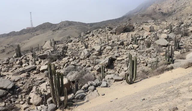 El cerro Campana tiene belleza y misticismo en sus lomas. Foto: UNT