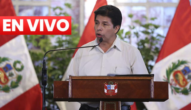 Últimas noticias del gobierno del presidente Pedro Castillo hoy, viernes 29 de abril. Foto: Presidencia