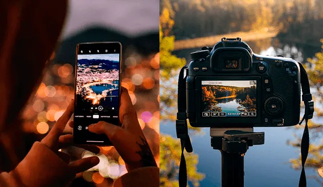 Por qué la calidad de fotos de tu celular es inferior a la de una cámara  profesional?, Android, iPhone, Canon, Nikon, Sony, Tecnología