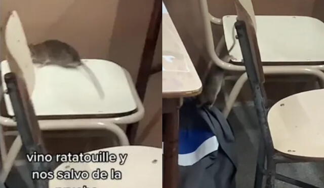 El video es viral en TikTok y otras redes sociales. Foto: TikTok