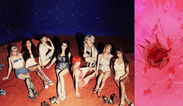 El girlgroup de Girls' Generation tiene cinco integrantes actualmente. Foto/composición/SM Entertainment