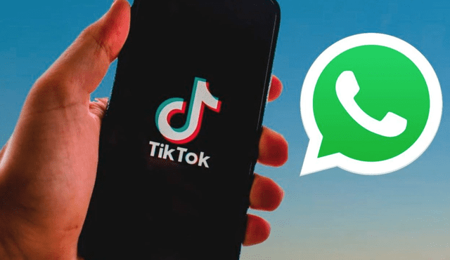 Podrás ver videos de TikTok en una pequeña ventana, mientras revisas WhatsApp, Facebook u otra app. Foto: TuExpertoApps