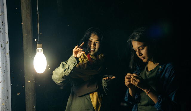 Voluntarias observando y capturando polillas con trampas de luz. Foto: Wired Amazon.