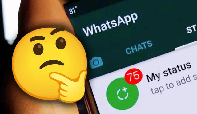 Muchas de las apps alternativas para WhatsApp ofrecen atractivas funciones, como saber el número de veces que un usuario ha visto tu estado. Foto: ADSLZone/composición