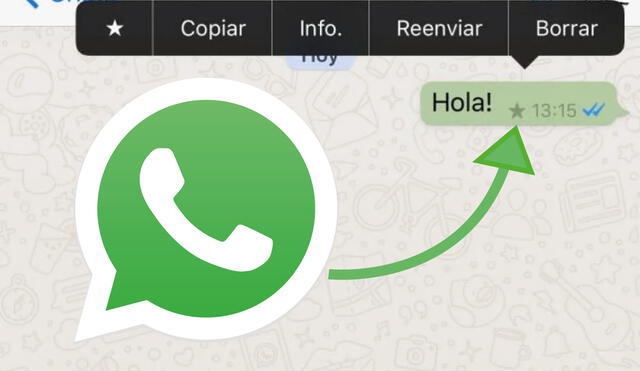 WhatsApp tiene ciertos elementos y funciones que sus usuarios aún no conocen. Foto: composición LR/ Reddit